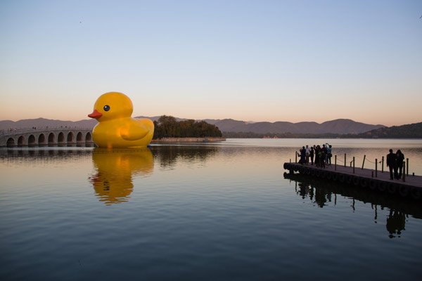 Rubber duck adjusting to spot at Summer Palace