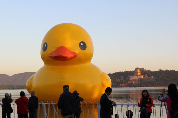 Rubber duck adjusting to spot at Summer Palace