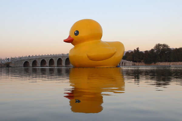 Rubber duck adjusting to spot at Summer Palace