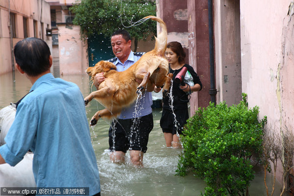 In photos: Typhoon Fitow aftermath