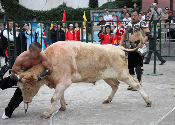 Chinese-style bullfight in E China