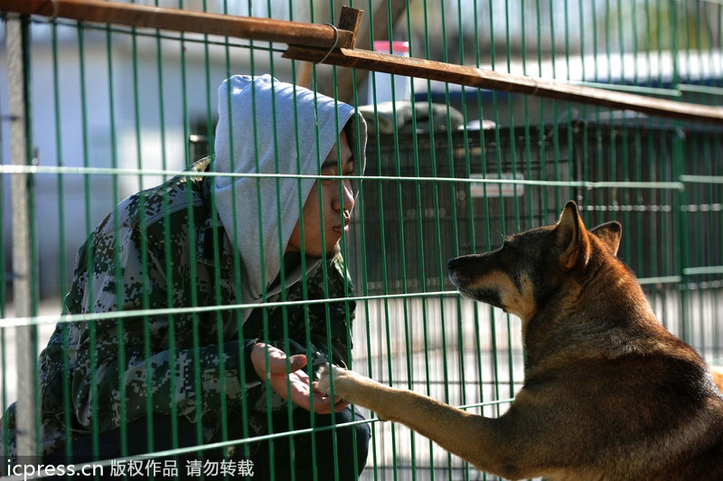 Expat rescues stray animals in Beijing