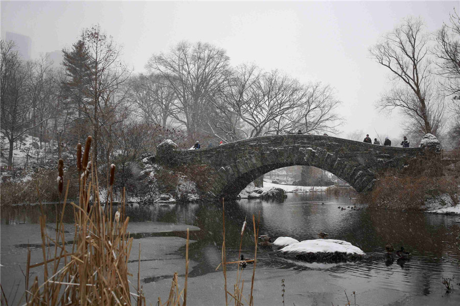 Snow storm wallops NE USA