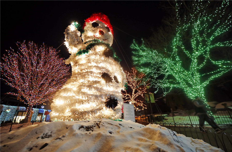 'ZooLights' at Chicago's Lincoln Park Zoo