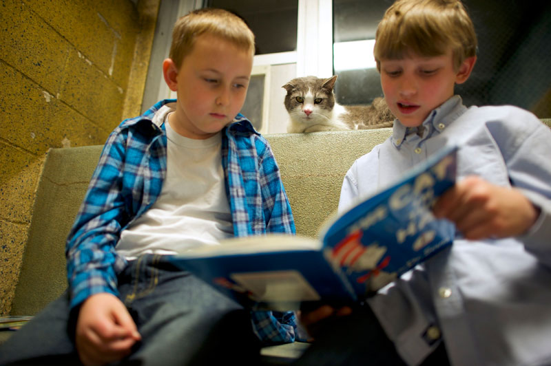 Kids in US reading to cats