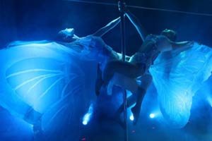 Opera Ball opens in Vienna