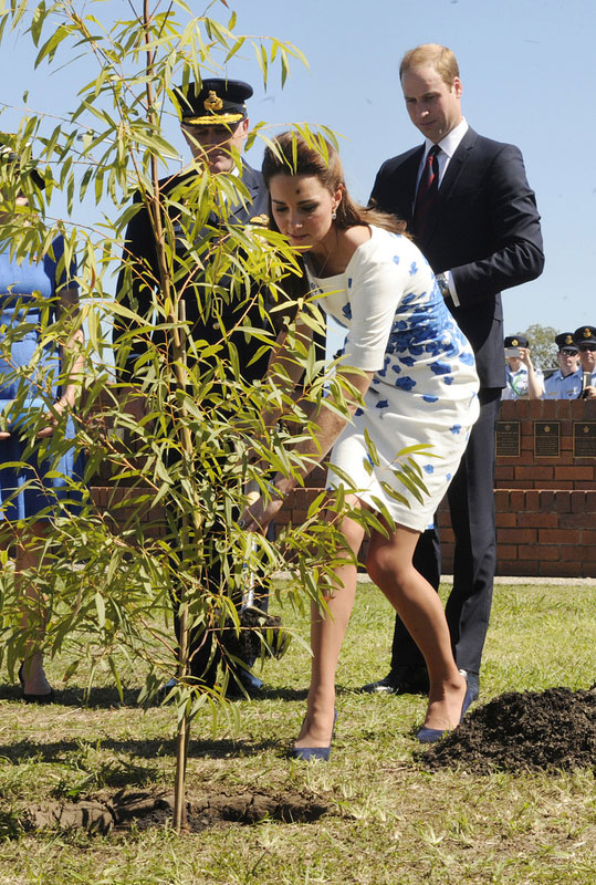 Dignitaries and royals raise ecological awareness