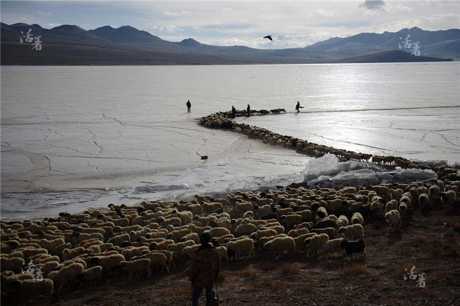 Life in Tibet's rooftop village