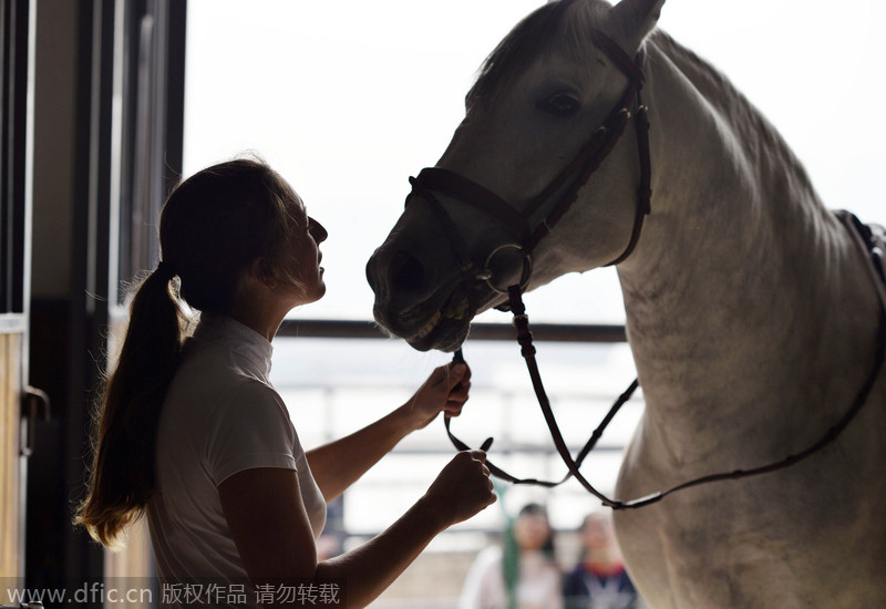 A galloping success in SW China’s Chongqing