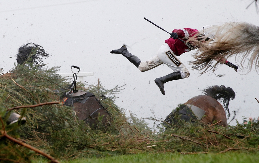 World Press Photo award winners