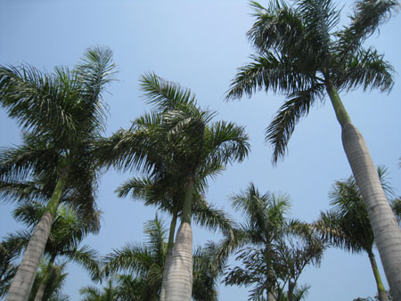 Garden Park in Jimei