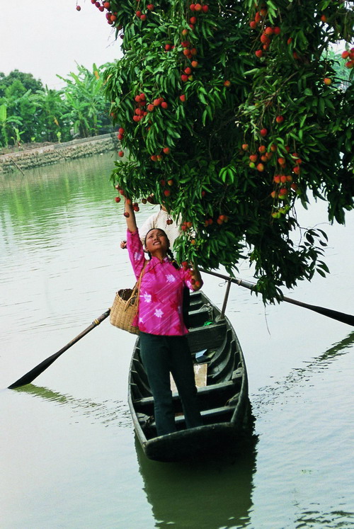 Parks in Zhongshan city