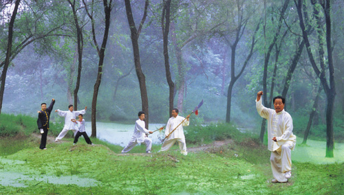 Tai Chi flourishing in its birthplace