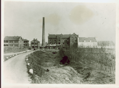 Comparisons of old and new Qingdao I