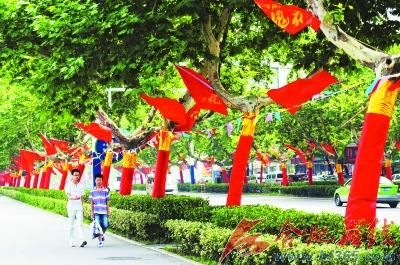 Trees get all dressed up for Party’s birthday