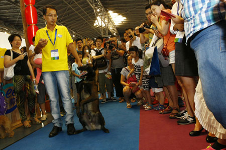 Shanghai puts pets in the limelight