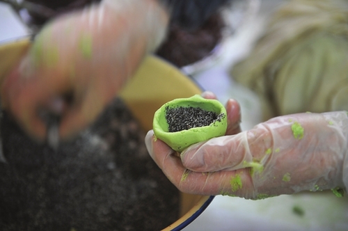 Make a sweet green rice ball in spring