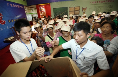 Tea tourism expo attracts visitors in Zhanjiang