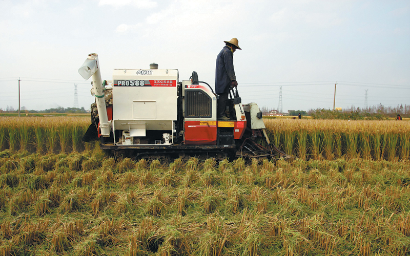 Nantong reseeds a traditional industry