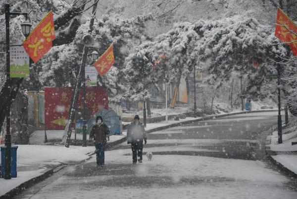 Snow hits Northeast China as temperatures drop