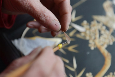 Changzhou villager devotes 40 years to straw painting