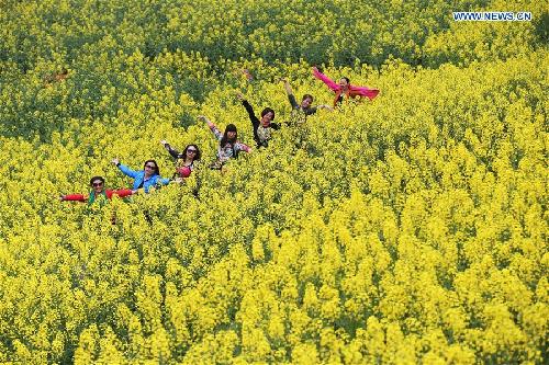 Rape flowers in S China in full bloom