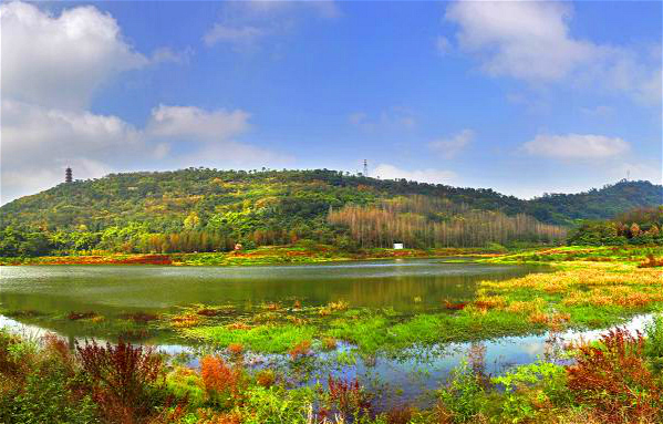 Liangjiang blurs lines between city and nature