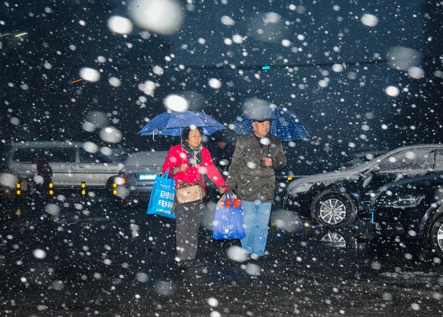 NE China's Jilin issues yellow alert for blizzards