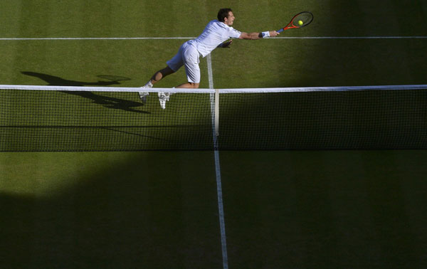 Djokovic, Murray reach semifinal at Wimbledon