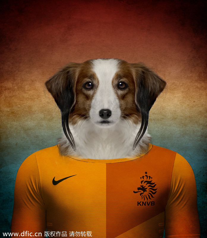 Dogs in national football team jerseys