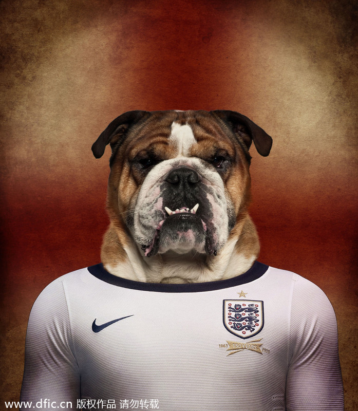 Dogs in national football team jerseys