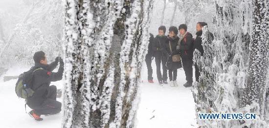 Amazing scenery of rime appears in Zhangjiajie resort