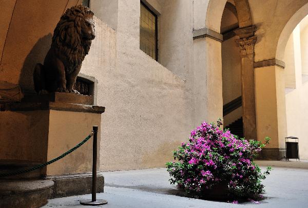 Unique human landscape in Florence, Italy