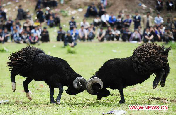 China's Yi ethnic group celebrates Torch Festival