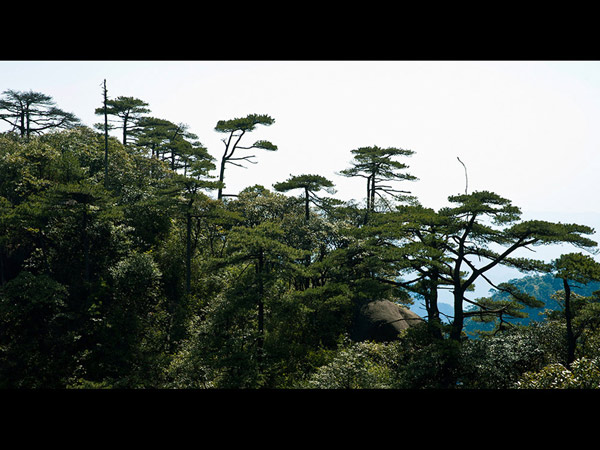 Mount Sanqingshan National Park