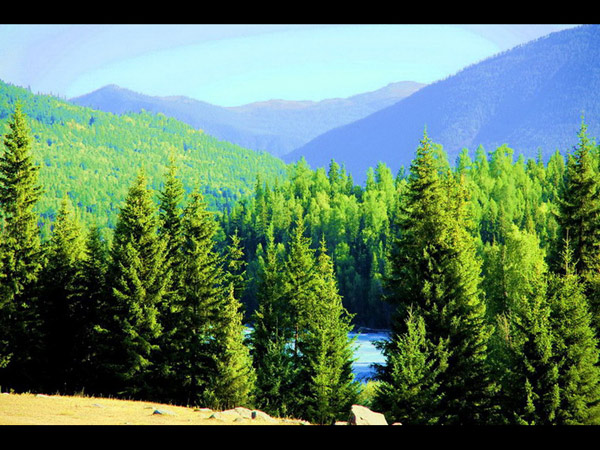 Ha'nasi nature reserve in Xinjiang