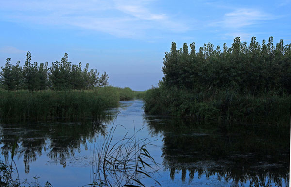 Amazing Baiyangdian Lake in early autumn