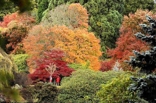 Autumn colors