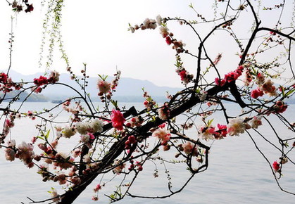 Spring is a fabulous time to go to Hangzhou