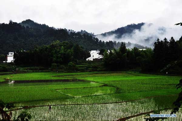 Fog scenery in E China