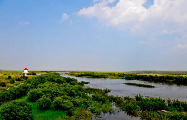 Natural scenery of Hulun Buir grassland