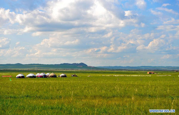 Tranquil Xilin Gol grassland in summer