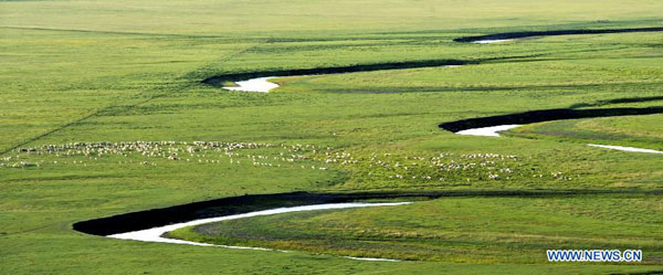 Picturesque scenery of Hulun Buir grassland