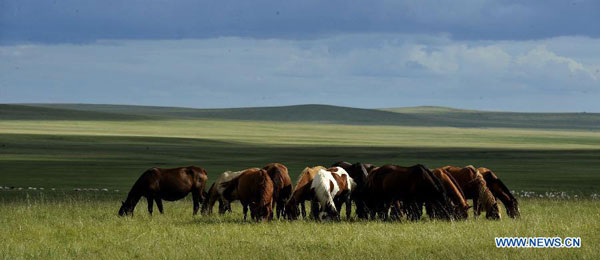 Picturesque scenery of Hulun Buir grassland