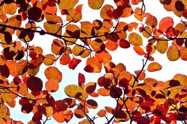 Autumn view on Changshou Mountain in China's Henan