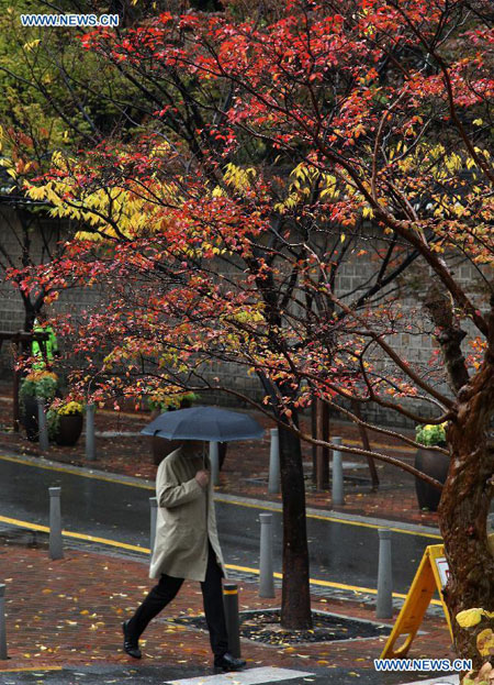 Autumn scenery in Seoul, S Korea