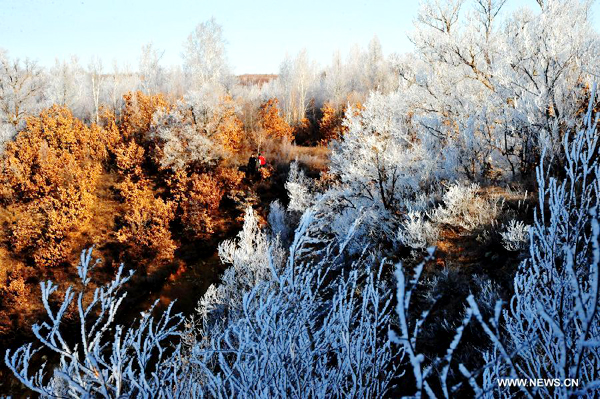 Rime scenery in NE China's Heilongjiang