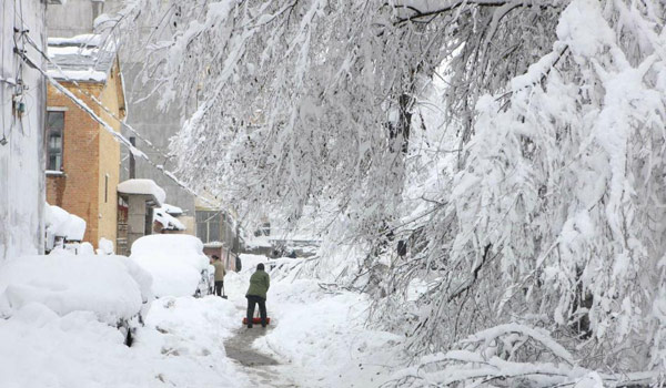 Heavy snowstorms hit NE China's Heilongjiang