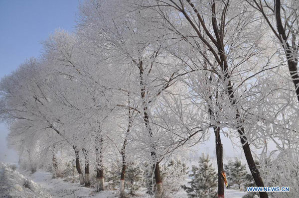 Beautiful rime scenery in NE China's Heilongjiang