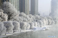 Sama Festival in SW China